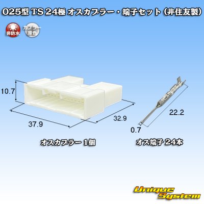 画像1: 025型 TS 非防水 24極 オスカプラー・端子セット (非住友製)