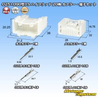 住友電装 025+090型TS ハイブリッド 非防水 20極 カプラー・端子セット (025型TS 16極+090型TS 4極)