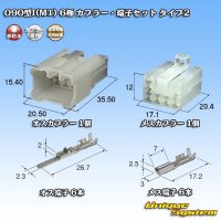矢崎総業 090型I 非防水 6極 カプラー・端子セット タイプ2
