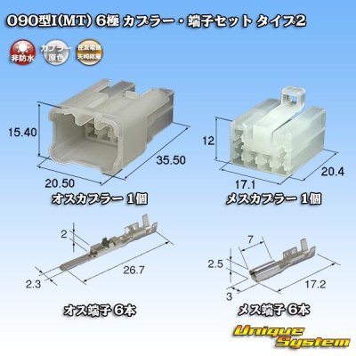 画像1: 矢崎総業 090型I 非防水 6極 カプラー・端子セット タイプ2