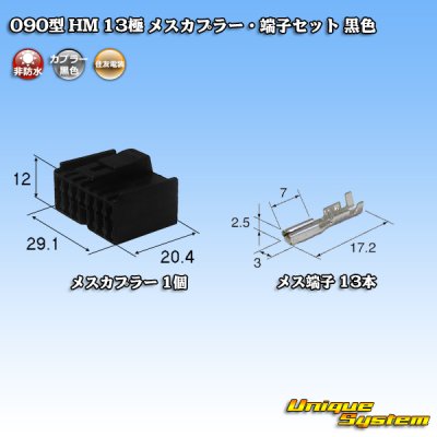 画像1: 住友電装 090型 HM 非防水 13極 メスカプラー・端子セット 黒色