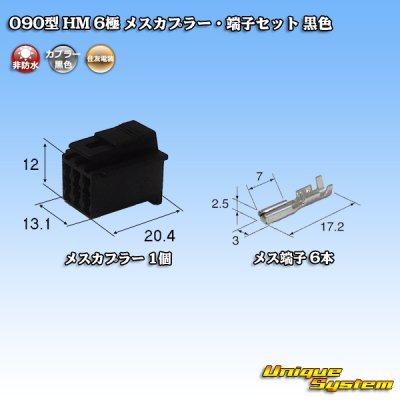 画像1: 住友電装 090型 HM 非防水 6極 メスカプラー・端子セット 黒色