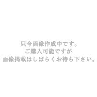 トヨタ純正品番(相当品又は同等品)：90980-12550 篏合相手側 (非東海理化製)