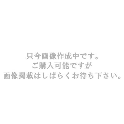 画像1: トヨタ純正品番(相当品又は同等品)：90980-12550 篏合相手側 (非東海理化製)