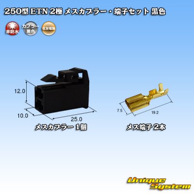 画像1: 住友電装 250型 ETN 非防水 2極 メスカプラー・端子セット タイプ1 黒色