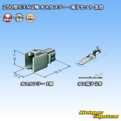 画像4: 住友電装 250型 ETN 非防水 2極 オスカプラー・端子セット タイプ1 黒色