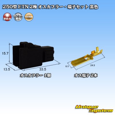 画像1: 住友電装 250型 ETN 非防水 2極 オスカプラー・端子セット タイプ1 黒色