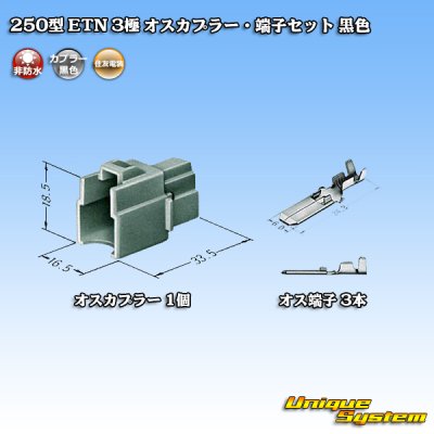 画像4: 住友電装 250型 ETN 非防水 3極 オスカプラー・端子セット 黒色