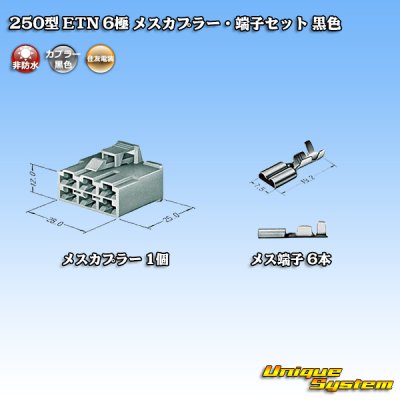 画像4: 住友電装 250型 ETN 非防水 6極 メスカプラー・端子セット 黒色