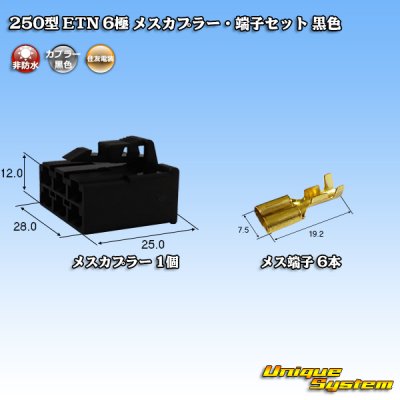 画像1: 住友電装 250型 ETN 非防水 6極 メスカプラー・端子セット 黒色