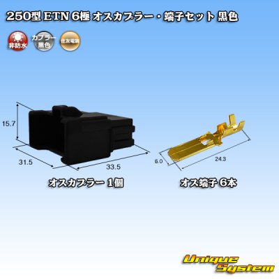 画像1: 住友電装 250型 ETN 非防水 6極 オスカプラー・端子セット 黒色