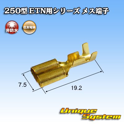 画像3: 住友電装 250型 ETN用シリーズ 非防水 メス端子