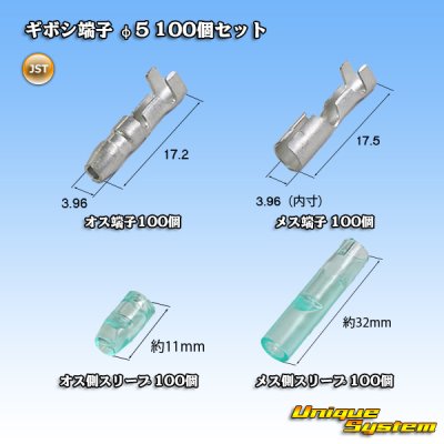 画像1: JST 日本圧着端子製造 ギボシ端子 φ5 100個セット (端子 オス/メス各100個 スリーブオス/メス各100個 計400個セット)
