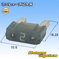 太平洋精工 ミニヒューズ 2A 灰色