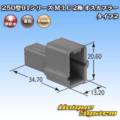 画像1: 矢崎総業 250型91シリーズ M-LCタイプ 非防水 2極 オスカプラー タイプ2