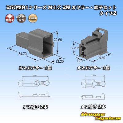 画像1: 矢崎総業 250型91シリーズ M-LCタイプ 非防水 2極 カプラー・端子セット タイプ2