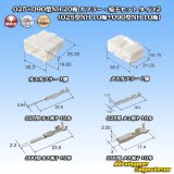 住友電装 025+090型NH ハイブリッド 非防水 20極 カプラー・端子セット タイプ2 (025型NH 10極+090型NH 10極)