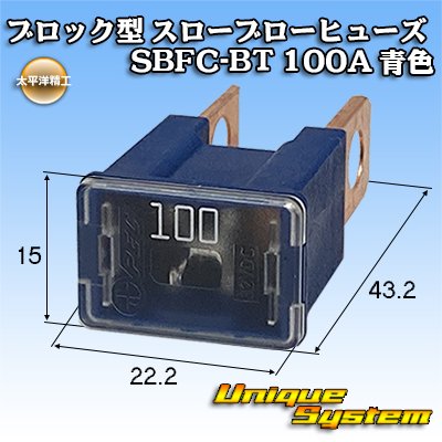 画像1: 太平洋精工 ブロック型 スローブローヒューズ SBFC-BT 100A 青色 3206