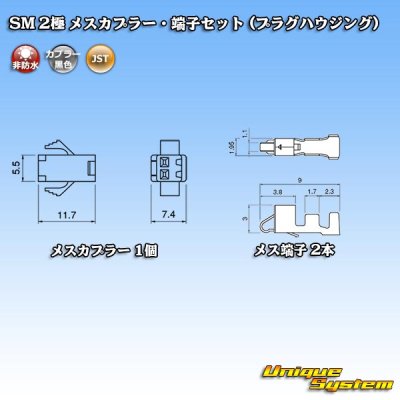 画像4: JST 日本圧着端子製造 SM 非防水 2極 メスカプラー・端子セット (プラグハウジング)