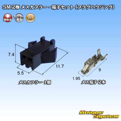 画像1: JST 日本圧着端子製造 SM 非防水 2極 メスカプラー・端子セット (プラグハウジング)