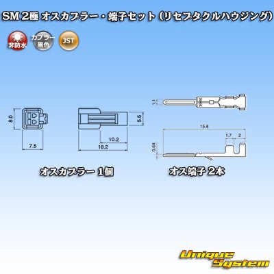 画像4: JST 日本圧着端子製造 SM 非防水 2極 オスカプラー・端子セット (リセプタクルハウジング)