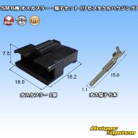 JST 日本圧着端子製造 SM 非防水 6極 オスカプラー・端子セット (リセプタクルハウジング)