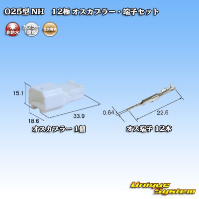 画像1: 住友電装 025型 NH 非防水 12極 オスカプラー・端子セット