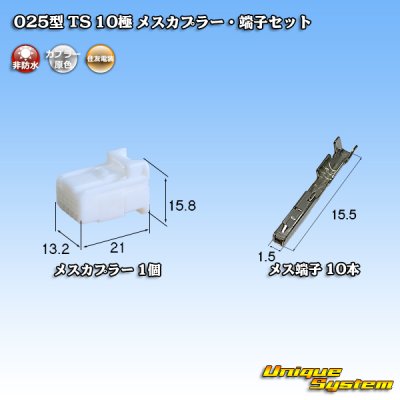 画像1: 住友電装 025型 TS 非防水 10極 メスカプラー・端子セット