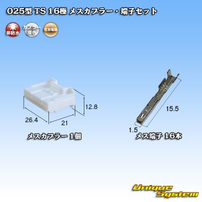 画像1: 住友電装 025型 TS 非防水 16極 メスカプラー・端子セット