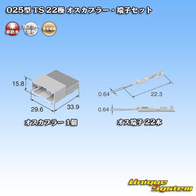 画像4: 住友電装 025型 TS 非防水 22極 オスカプラー・端子セット