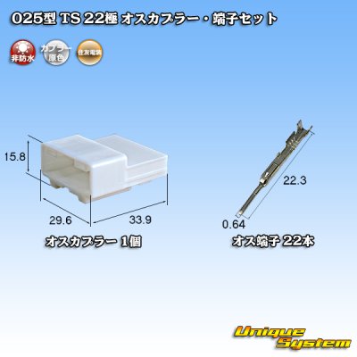 画像1: 住友電装 025型 TS 非防水 22極 オスカプラー・端子セット