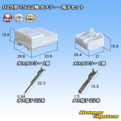 画像1: 住友電装 025型 TS 非防水 22極 カプラー・端子セット