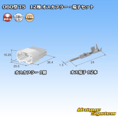 画像4: 住友電装 060型 TS 非防水 12極 オスカプラー・端子セット