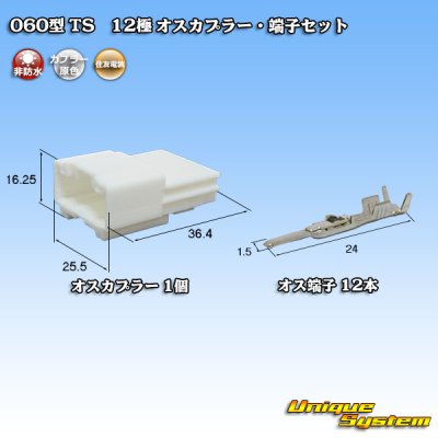 画像1: 住友電装 060型 TS 非防水 12極 オスカプラー・端子セット