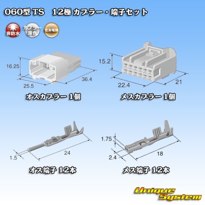 画像5: 住友電装 060型 TS 非防水 12極 カプラー・端子セット