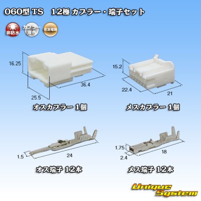 画像1: 住友電装 060型 TS 非防水 12極 カプラー・端子セット