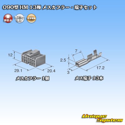 画像4: 住友電装 090型 HM 非防水 13極 メスカプラー・端子セット