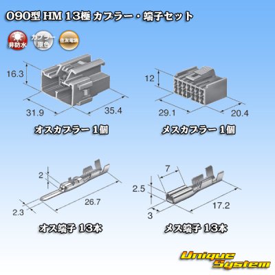 画像5: 住友電装 090型 HM 非防水 13極 カプラー・端子セット