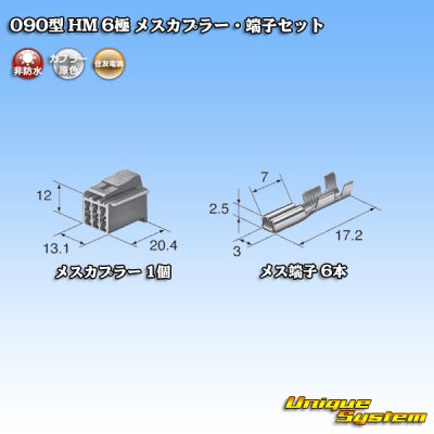 画像4: 住友電装 090型 HM 非防水 6極 メスカプラー・端子セット