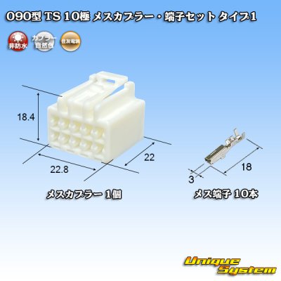 画像1: 住友電装 090型 TS 非防水 10極 メスカプラー・端子セット タイプ1