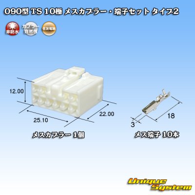 画像1: 住友電装 090型 TS 非防水 10極 メスカプラー・端子セット タイプ2