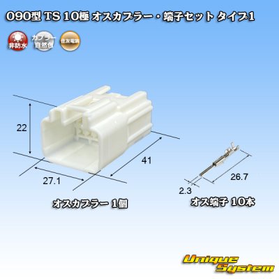 画像1: 住友電装 090型 TS 非防水 10極 オスカプラー・端子セット タイプ1