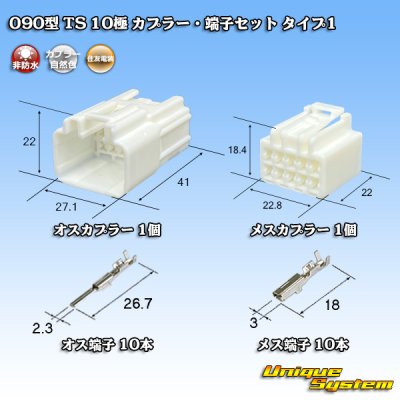 画像1: 住友電装 090型 TS 非防水 10極 カプラー・端子セット タイプ1