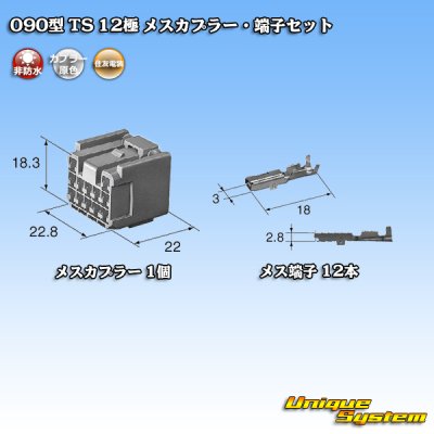 画像4: 住友電装 090型 TS 非防水 12極 メスカプラー・端子セット