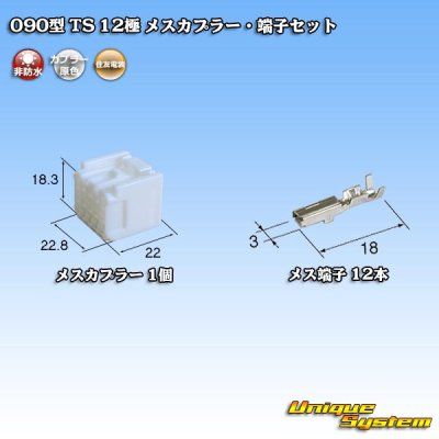 画像1: 住友電装 090型 TS 非防水 12極 メスカプラー・端子セット