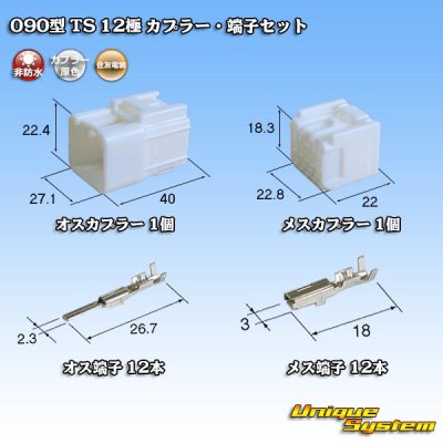 画像1: 住友電装 090型 TS 非防水 12極 カプラー・端子セット