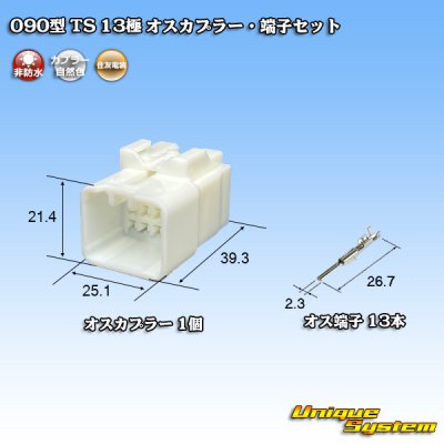 画像1: 住友電装 090型 TS 非防水 13極 オスカプラー・端子セット