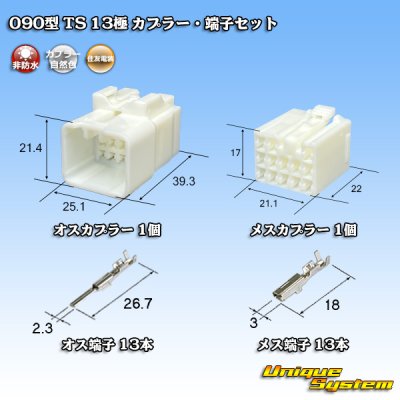 画像1: 住友電装 090型 TS 非防水 13極 カプラー・端子セット