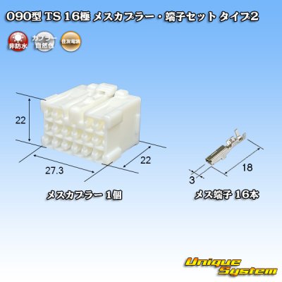 画像1: 住友電装 090型 TS 非防水 16極 メスカプラー・端子セット タイプ2