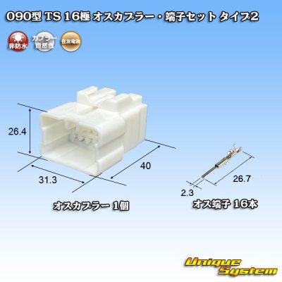 画像1: 住友電装 090型 TS 非防水 16極 オスカプラー・端子セット タイプ2